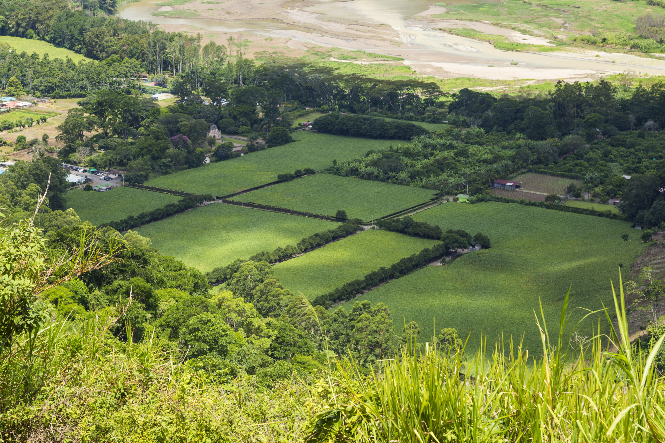 Property Registration in Bihar